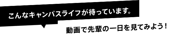 こんなキャンパスライフが待っています。動画で先輩の一日を見てみよう！