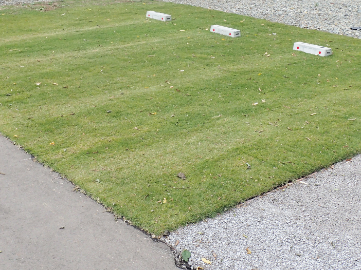 駐車場として1か月間利用後も、芝生のずれや大きな損傷はみられなかった
