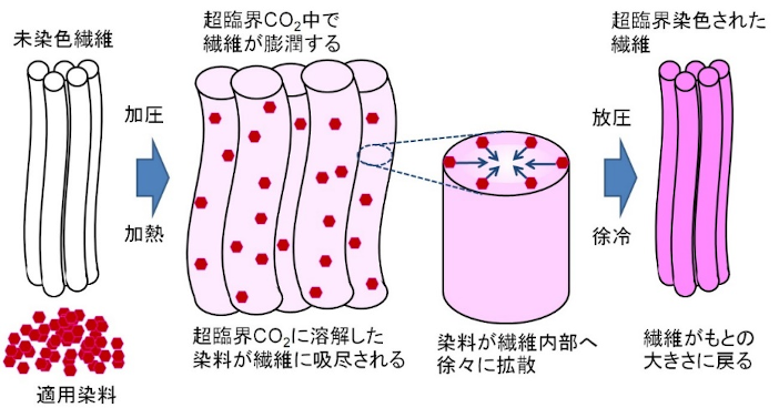 超臨界流体染色のイメージ図