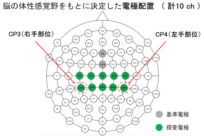 脳の体性感覚野をもとに決定した電極配置（計10ch）