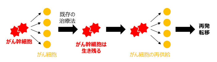 （図1）がん幹細胞によるがんの再発・転移のメカニズム