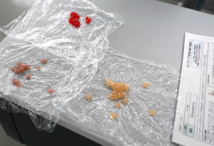 試作された「桜金珠」