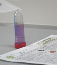 試作されたエイジングケア用ナイトセラム