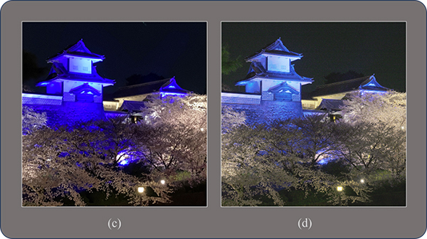 夜間:石川門のライトアップの例 夜間:石川門のライトアップの例<br>スマートフォン撮影画像では明るい青を強調する処理が行われた結果、石垣の形状情報が完全に失われています。また、満開の桜の明暗のコントラストも不自然に高い。一方提案手法で生成した画像が、石垣の形状情報がきちんと再現されており、全体的に自然で奥行き感のある画像が生成されています。