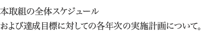 本取組の全体スケジュールおよび達成目標に対しての各年次の実施計画について。