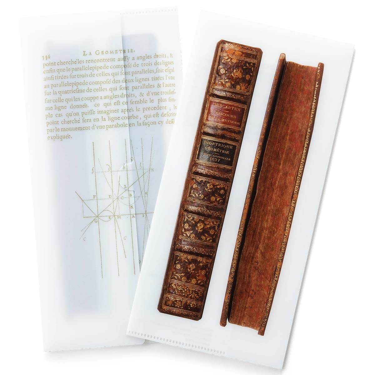 チケットホルダー