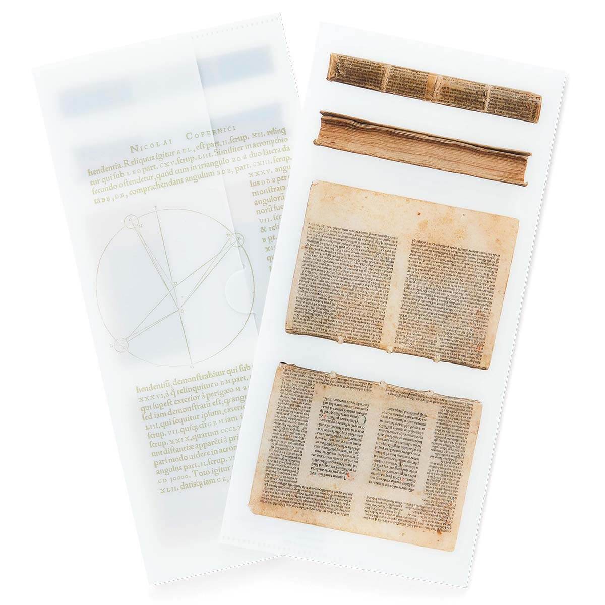 チケットホルダー